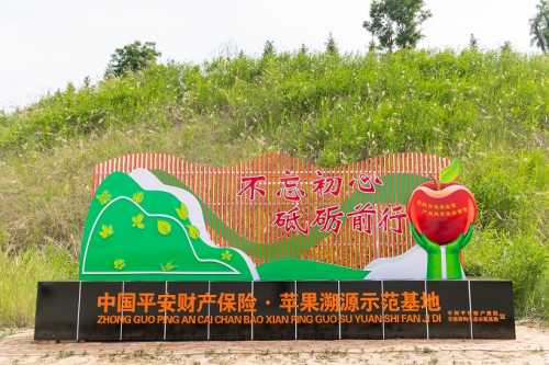 平安产险深圳分公司：一颗苹果的“保险+”，显示农户丰收的新故